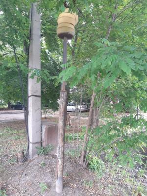 Прикрепленное изображение: я.jpg